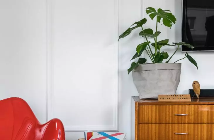 furnishings