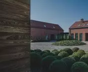 Wewnętrze podwórko