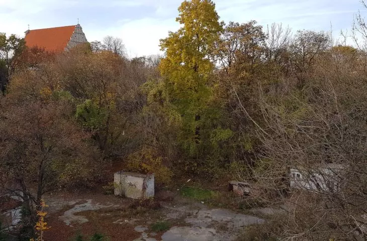 Wooded wasteland between the slaughterhouse and St. Adalbert's Hill.