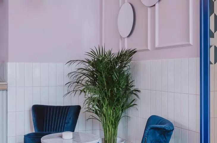navy blue armchairs in the cafe