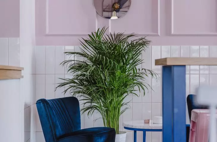 navy blue armchair