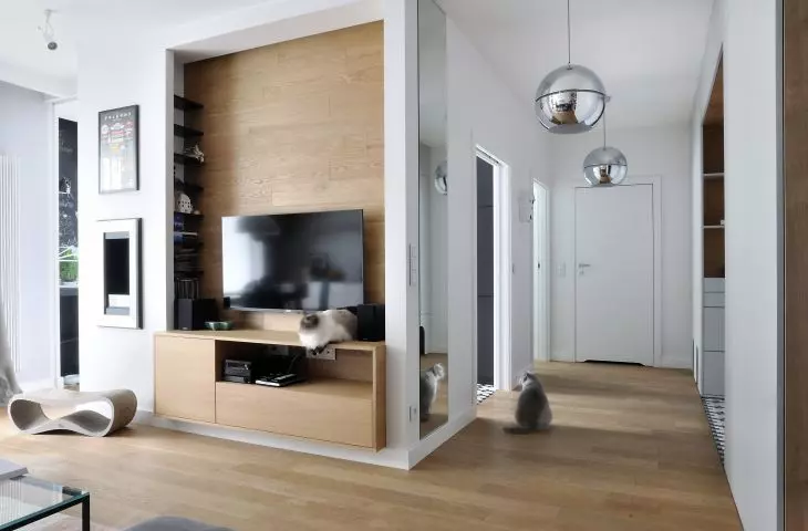 Hallway and living room