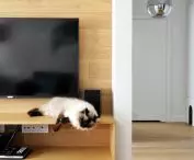 You can lie down everywhere 