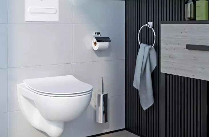 Modern toilet sets with fashionable slim Roca seats