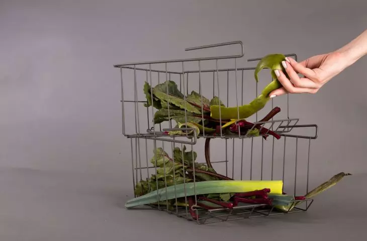 Drying of bio-waste