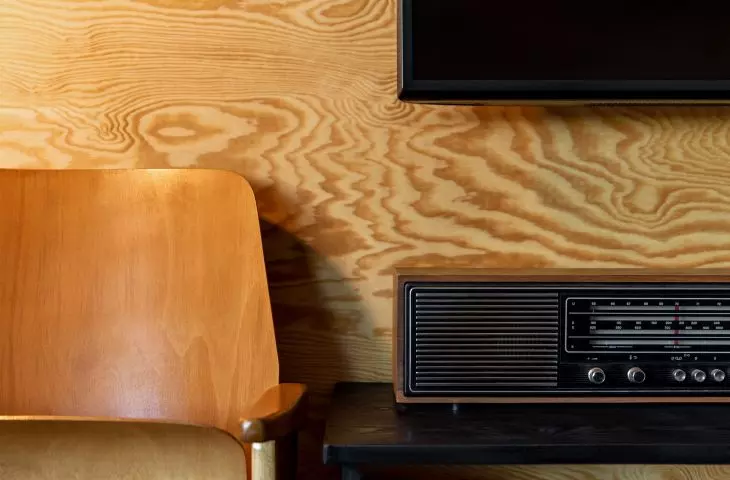 Plywood wall in the living room