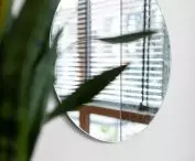 Blinds let light into interiors