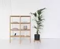 PIANO collection, cabinet