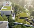 widok na zielone dachy i tarasy