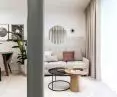 Bright living room and desirable elements