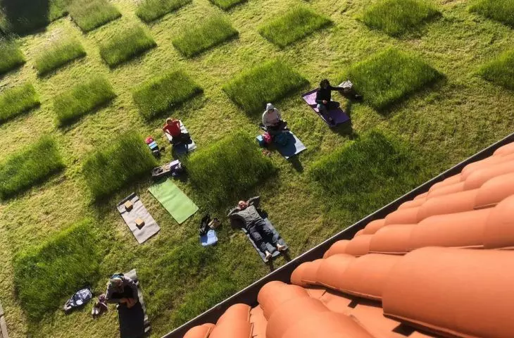 Lawn in front of EL Gallery