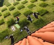 Lawn in front of EL Gallery