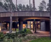 Atrium z drzewami