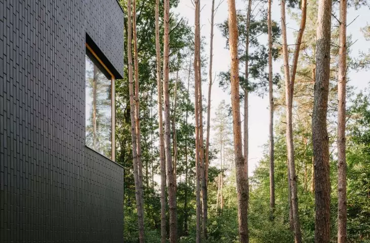 okna kadrują widoki na pobliski las