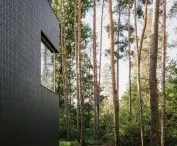 windows frame views of the nearby forest