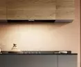 Rules Naked built-in hood, class A, 60 dBA (@ 445 m3/h)