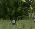 Kody QR w ogrodzie