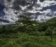 Konkurs na projekt kaplicy w Rwandzie