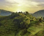 Konkurs na projekt kaplicy w Rwandzie