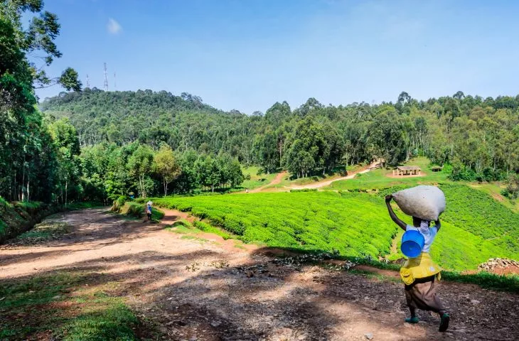 Konkurs na projekt kaplicy w Rwandzie