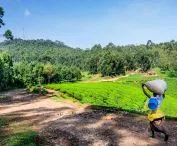 Konkurs na projekt kaplicy w Rwandzie