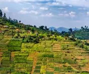 Konkurs na projekt kaplicy w Rwandzie