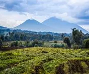 Konkurs na projekt kaplicy w Rwandzie