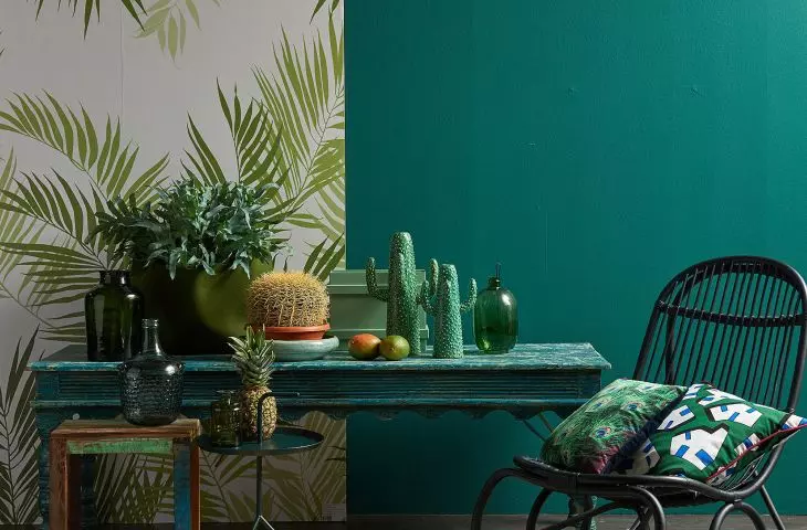 Eco-friendly wall paints from the Netherlands