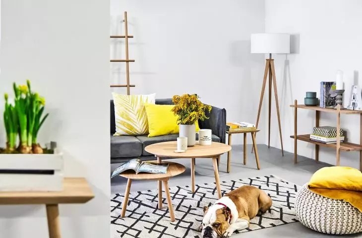 Yellow cushions in the living room will liven up the interior