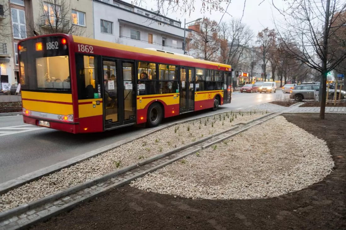 Ogród deszczowy przy ul. Francuskiej w Warszawie / fot. ZDM