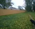 Ogrodzenie na Błoniach - prywatyzacja terenów zielonych