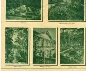 Abram Gurevich's boarding house, park in old photos