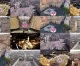 Visualization of the pavilions