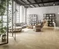 FertigDesktop Maxi Design Experience Oak Color Avorio
