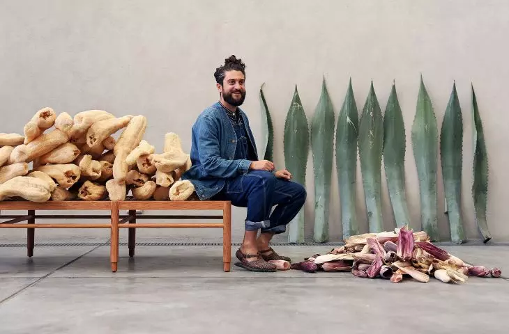 Fernand Laposse's designs