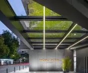 Nobu Hotel, green wall