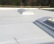 Green roofs and FPO roofing membranes of the highest grade 