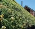 Sloping roof - Krakow