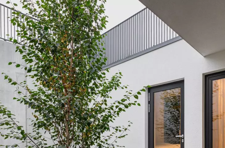 Domy w Borach Tucholskich, atrium