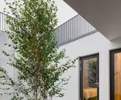 Domy w Borach Tucholskich, atrium
