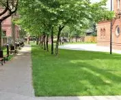 1. honorable mention for the Market Square in Ruda Śląska - Orzegowo