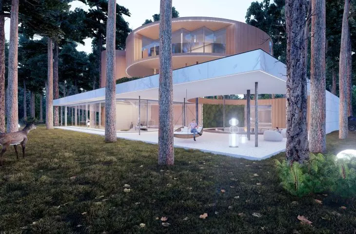 Projekt bryły Tree House
