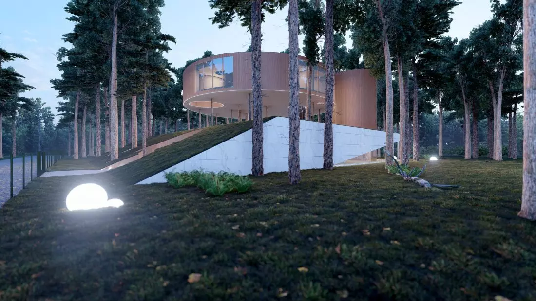 Projekt lewitującej
bryły Tree House