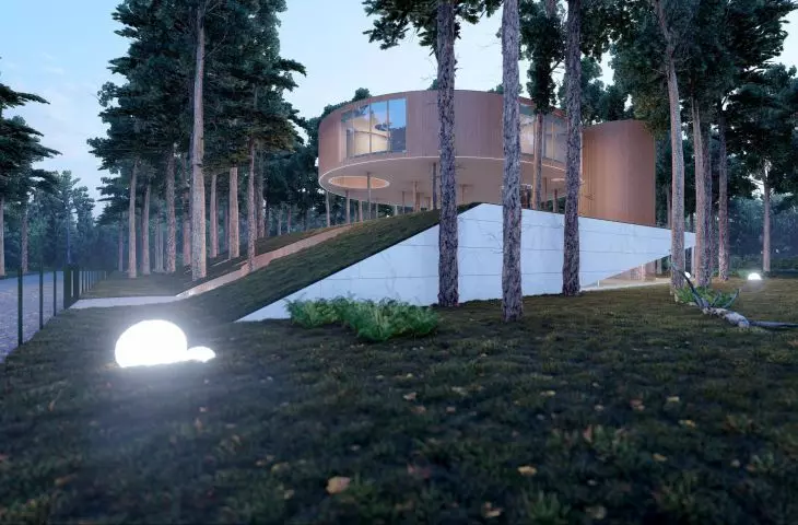 Projekt lewitującej bryły Tree House