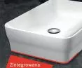 Integrated gasket