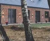 Architekci zostawili na działce drzewa