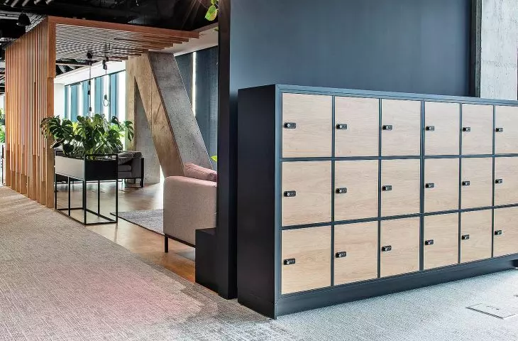 Personal locker systems