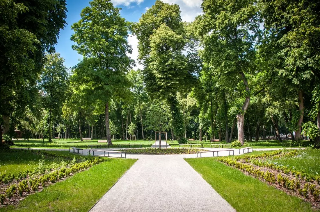 Park Podzamcze
w lecie