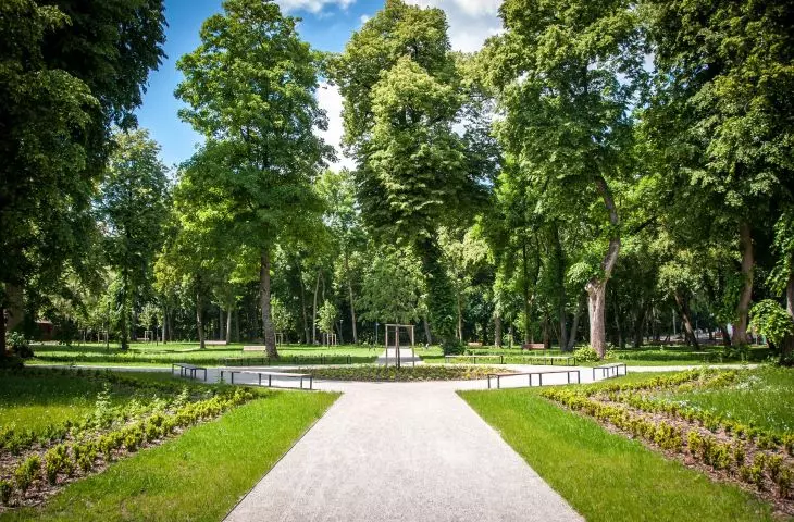 Park Podzamcze w Łęcznej