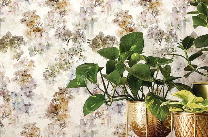 Tapeta Vanilla, proj. Ted Baker London